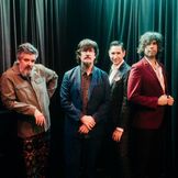 Imagem do artista The Mountain Goats