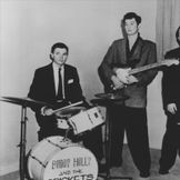 Imagen del artista The Crickets