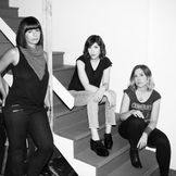 Imagem do artista Sleater-Kinney