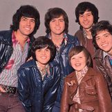 Imagem do artista The Osmonds