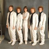 Imagen del artista The Flying Burrito Brothers