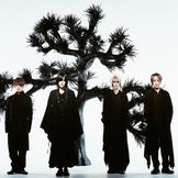 Imagen del artista Plastic Tree