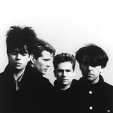 Imagen del artista Echo & The Bunnymen