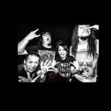 Imagem do artista Maximum The Hormone