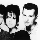 Imagen del artista The Sundays