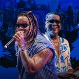 Imagen del artista Terra Samba