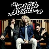 Imagen del artista The Black Moods