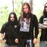 Imagem do artista Necrophagia