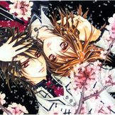 Artist's image Vampire Knight