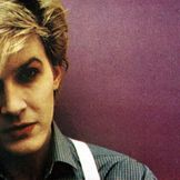 Imagen del artista David Sylvian