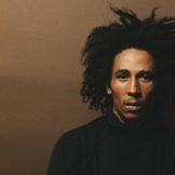 Artist's image Bob Marley