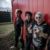 Artist image UK Subs