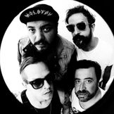 Imagen del artista Molotov