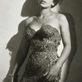 Imagem do artista Shirley Bassey