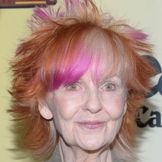 Imagen del artista Shelley Fabares