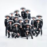 Imagen del artista Mariachi Vargas de Tecalitlán