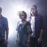 Artist's image Crystal Fighters