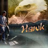 Imagem do artista Hawk