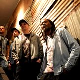 Imagem do artista Planet Roots