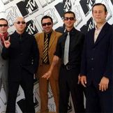 Artist image Giuliano Palma & The Bluebeaters