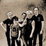 Artist image Die Toten Hosen