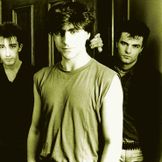 Imagem do artista The Chameleons