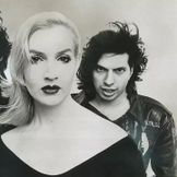 Imagen del artista The Nuns