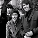 Artist image The Tremeloes