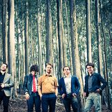 Imagen del artista Banda Tereza