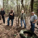 Artist's image Widespread Panic