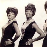 Imagen del artista Martha & The Vandellas