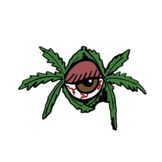 Imagen del artista Viejas Locas