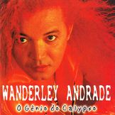 Imagen del artista Wanderley Andrade