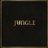 Imagen del artista Jungle