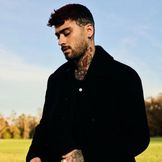 Artist's image ZAYN