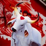 Imagen del artista Boi Garantido