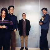 Artist image The Magnetic Fields
