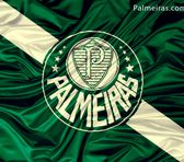 Foto de Palmeiras