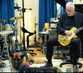 Foto de David Gilmour