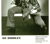 Photo of Bo Diddley