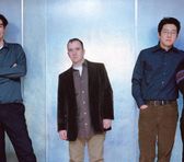 Photo of The Magnetic Fields