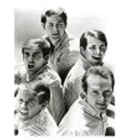 Foto del artista The Beach Boys