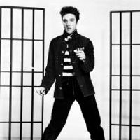 Foto do artista Elvis Presley