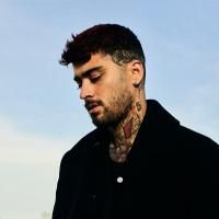 Foto del artista ZAYN