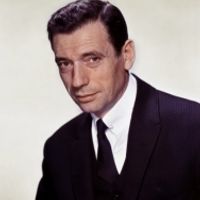 Artist photo Yves Montand