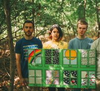 Foto de Pinegrove