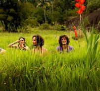 Foto de Vício Primavera