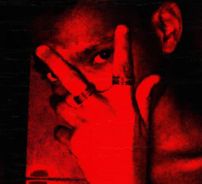 Foto de The Young Dan