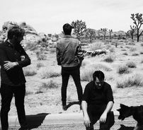 Foto de The Dangerous Summer