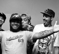 Foto de Coyotes California